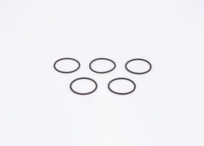 Rubber Ring BOSCH F 00R J00 220