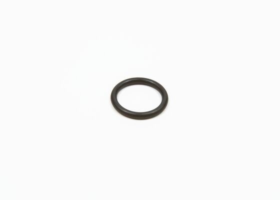 BOSCH F 00R J01 482 Rubber Ring