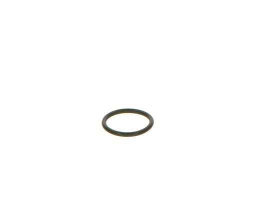 BOSCH F 00V C38 048 Rubber Ring