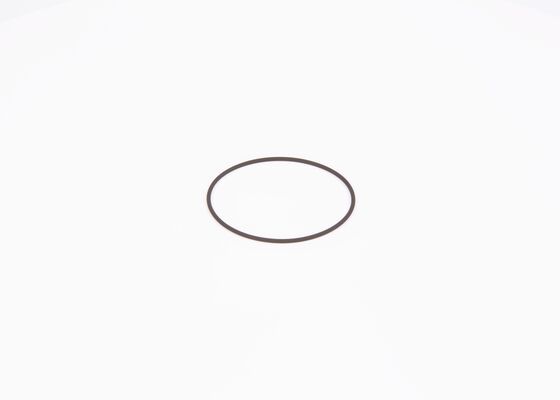 BOSCH F 01M 100 371 Seal Ring