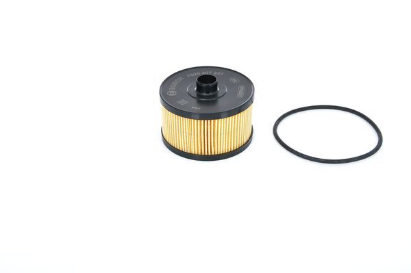 BOSCH F 026 407 231 Oil Filter