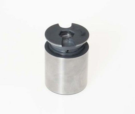 BREMBO F PI 124 Piston, brake caliper