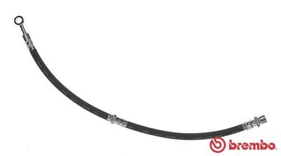 Brake Hose BREMBO T 15 011