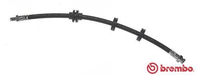 Brake Hose BREMBO T 23 114