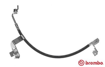 Brake Hose BREMBO T 24 081