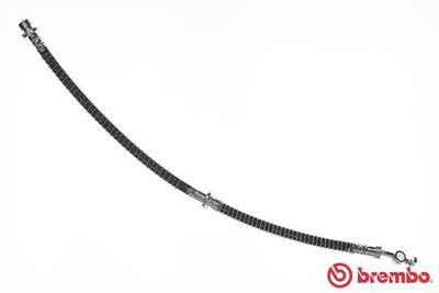 Brake Hose BREMBO T 44 021