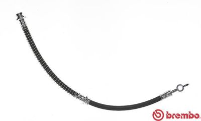 Brake Hose BREMBO T 54 011
