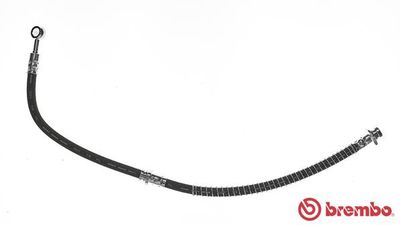 Brake Hose BREMBO T 54 037