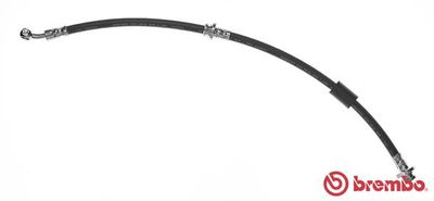 Brake Hose BREMBO T 56 116