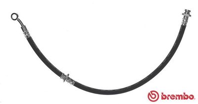 Brake Hose BREMBO T 56 123