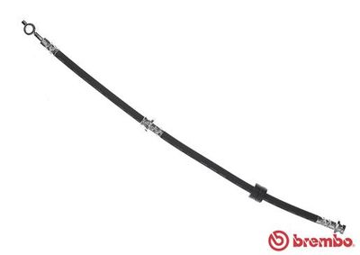 Brake Hose BREMBO T 56 137