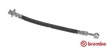 Brake Hose BREMBO T 56 144
