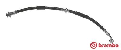 Brake Hose BREMBO T 56 153