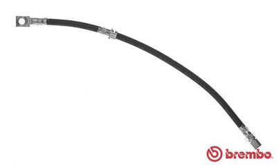 Brake Hose BREMBO T 59 056