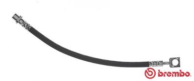 Brake Hose BREMBO T 59 081