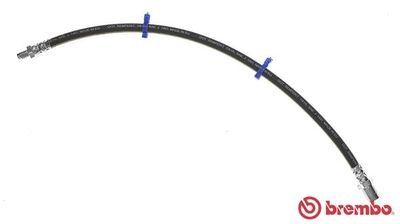 Brake Hose BREMBO T A6 024