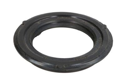 Shaft Seal, wheel bearing BTA 47100203BTA
