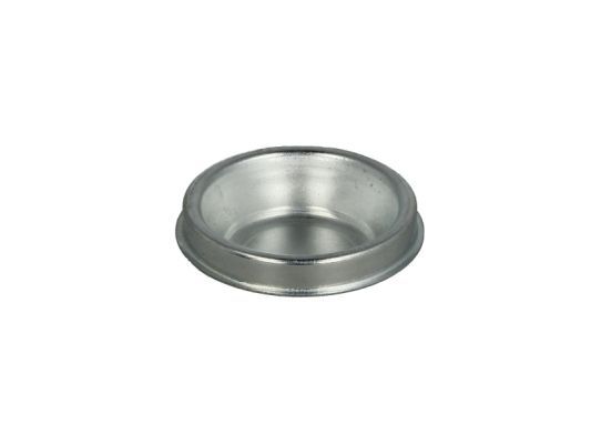 BTA 471C0418BTA Protection Lid, wheel hub