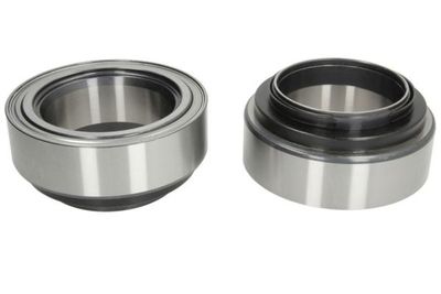 Wheel Bearing BTA B01-566425