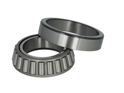 Wheel Bearing BTA B01-99041075