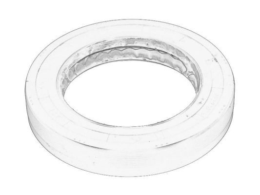 BTA B04-IV0002 Shaft Seal, differential