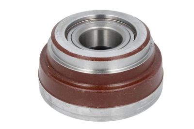 Wheel Bearing BTA B04-IV0012