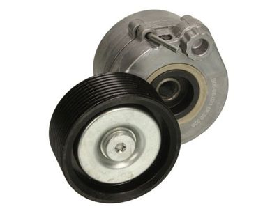 Tensioner Pulley, V-ribbed belt BTA B05-01-021