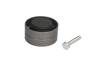 Tensioner Lever, V-ribbed belt BTA B05-02-072