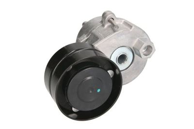 Tensioner Lever, V-ribbed belt BTA B05-AG-013