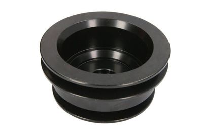 Bush, tensioner pulley lever BTA B05-AG-074