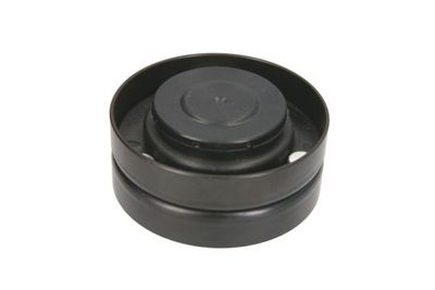 Tensioner Pulley, V-ribbed belt BTA B05-AG-078