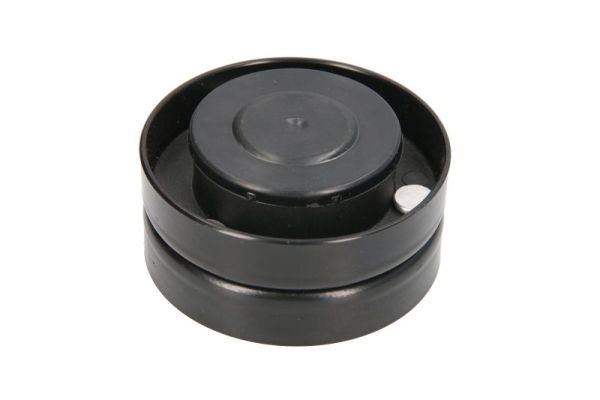 BTA B05-AG-079 Deflection Pulley/Guide Pulley, V-belt
