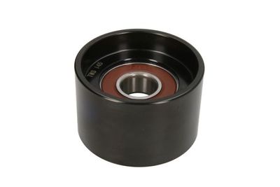 Bush, tensioner pulley lever BTA B05-AG-082