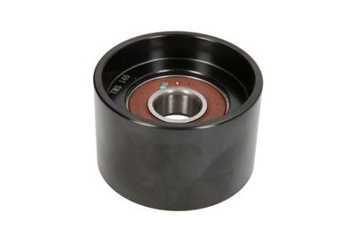 Bush, tensioner pulley lever BTA B05-AG-083