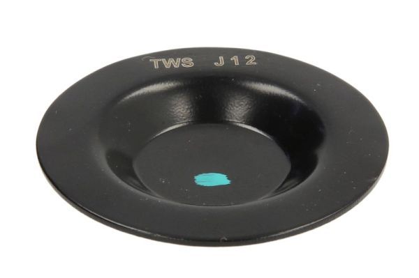 BTA B05-AG-096 Lid, tensioner pulley lever