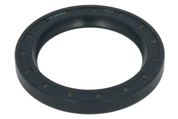 BTA B05-AG-300 Gasket, differential