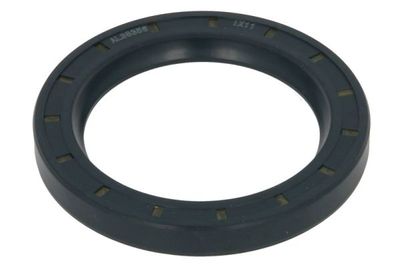 Gasket, differential BTA B05-AG-300
