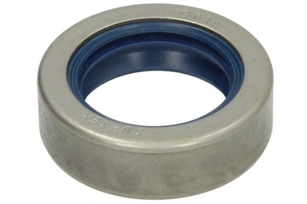 BTA B05-AG-328 Gasket, differential