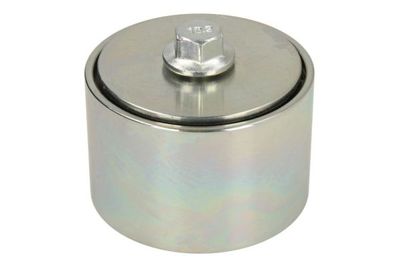 Tensioner Pulley, V-ribbed belt BTA B05-AG-344