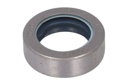Gasket, differential BTA B05-AG-363