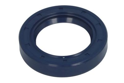 Gasket, differential BTA B05-AG-368