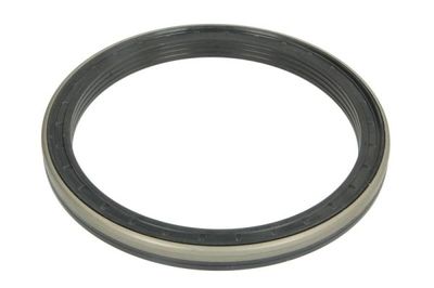 Seal Ring, wheel hub BTA B06-2161