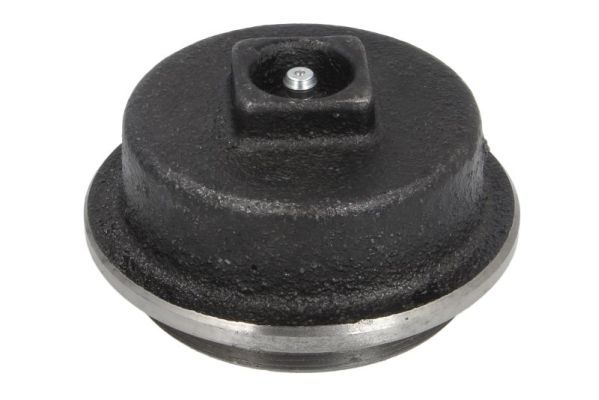 BTA B06-2165 Cap, wheel bearing