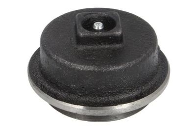 Cap, wheel bearing BTA B06-2165