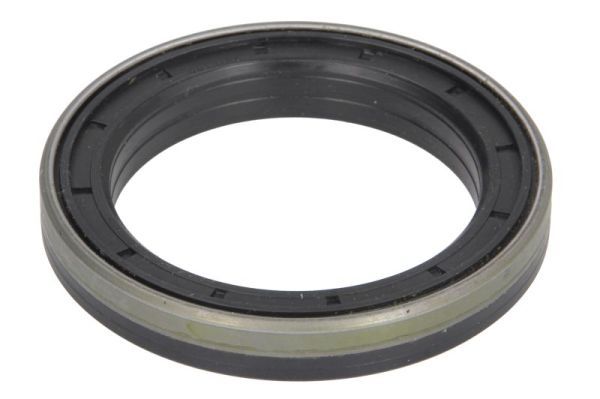 BTA B06-2172 Shaft Seal, differential