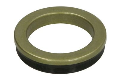 Shaft Seal, wheel hub BTA B06-2188