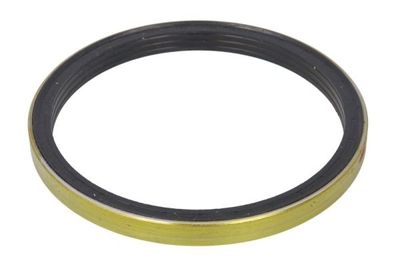 Shaft Seal, wheel hub BTA B06-2193