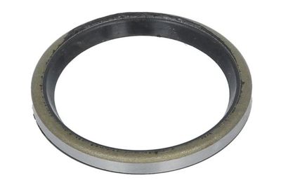 Seal Ring, steering knuckle BTA B06-2201