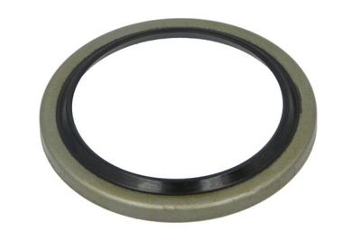 Seal Ring, steering knuckle BTA B06-2224