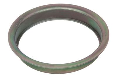 Gasket, differential BTA B06-2228